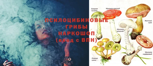 PSILOCYBIN Верхний Тагил